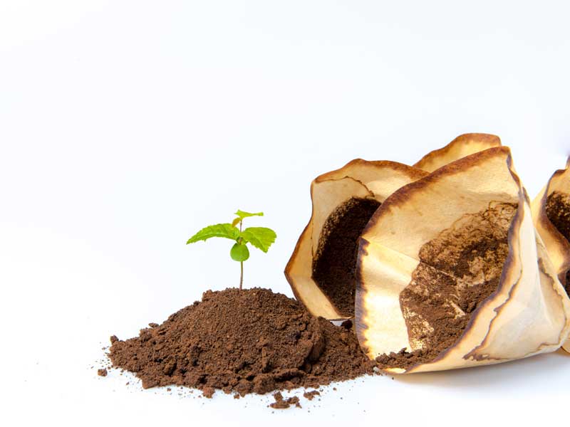 Die Umwelt liegt uns am Herzen